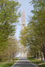 Bennington, VT - Monument from the street - spring